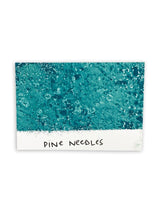 Tim Holtz - Distress Spray Stain - Pine Needles