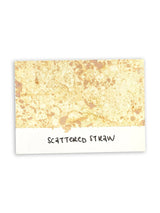 Tim Holtz - Distress Spray Stain - Scattered Straw