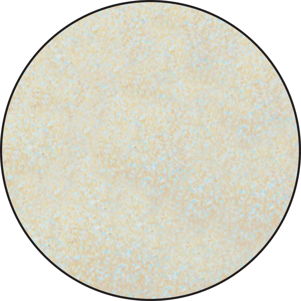 Ranger - Stickles Glitter Glue - Twinkle