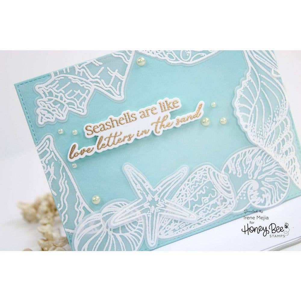 Honey Bee Stamps - Seashells - 6x8 Stamp Set