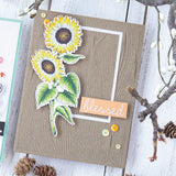Hero Arts - Woodgrain Texture Dies