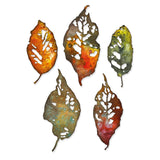 Sizzix - Thinlits Die Set 5PK Leaf Fragments by Tim Holtz