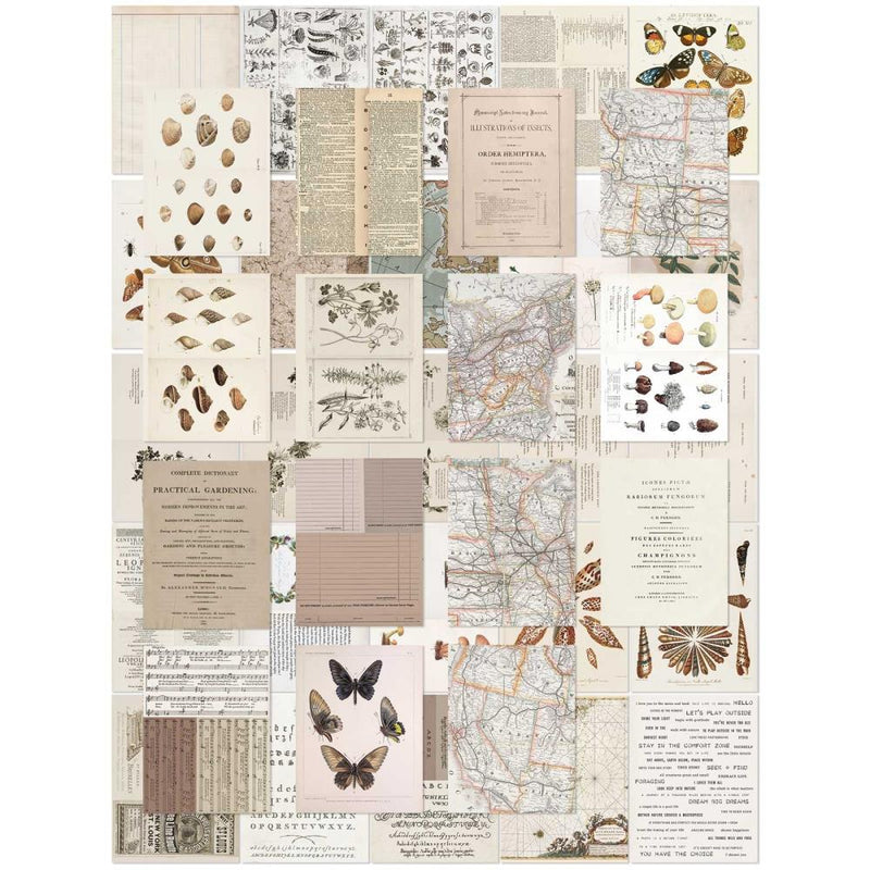 49 And Market - Color Swatch: Toast - Collage Sheets 6"X8" 40/Pkg