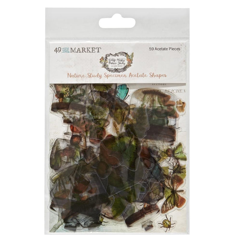 49 And Market - Nature Study - Acetate Shapes - Specimen