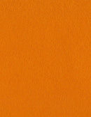 Bazzil Basics Cardstock ORANGEPEEL 8.5x11 Orange Juice