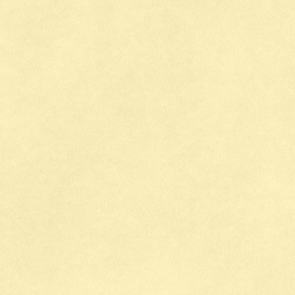 CARDSTOCK 8.5X11 AC SMOOTH VANILLA