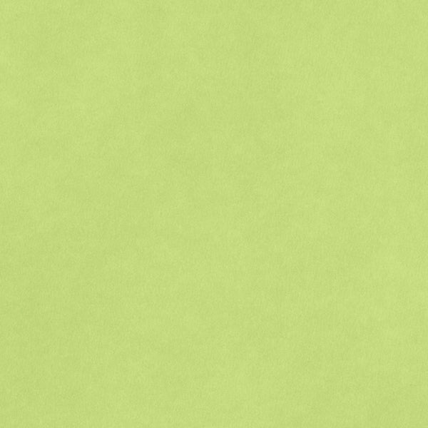 CARDSTOCK 8.5X11 SMOOTH KEY LIME