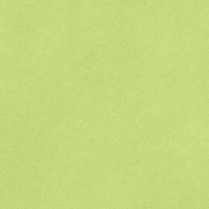 CARDSTOCK 8.5X11 SMOOTH KEY LIME