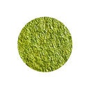 Shimmerz Paints - Shimmerz - Rita on The Rocks