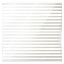We Are Memory Keepers - 12X12 ACETATE WHITE STRIPE