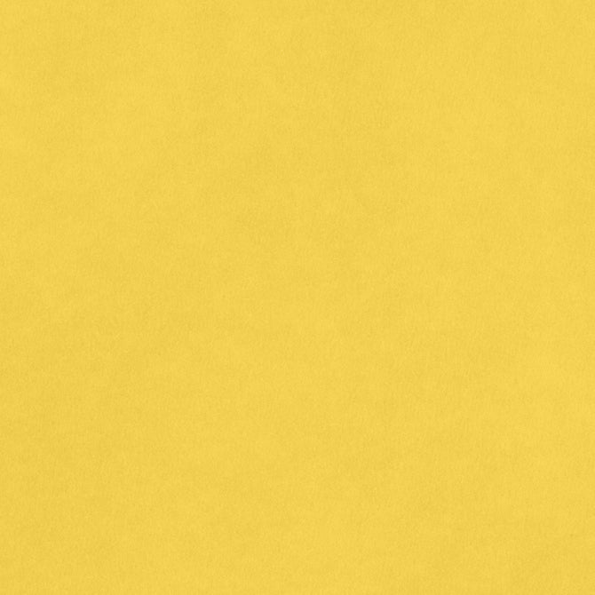 CARDSTOCK 8.5X11 AC SMOOTH SUNFLOWER