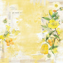 49 and Market - Spectrum Sherbet - 12 x 12 - Classics - Lemonade