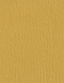 Bazzil Basics Cardstock ORANGEPEEL 8.5x11 Honeycomb