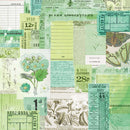 49 and Market - Spectrum Sherbet - 12 x 12 - Classics - Limeade