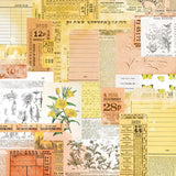 49 and Market - Spectrum Sherbet - 12 x 12 - Classics - Lemonade