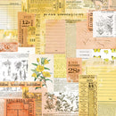 49 and Market - Spectrum Sherbet - 12 x 12 - Classics - Lemonade