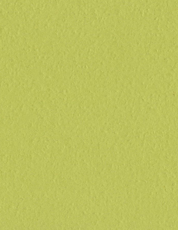 Bazzil Basics Cardstock ORANGEPEEL 8.5x11 GreenTea