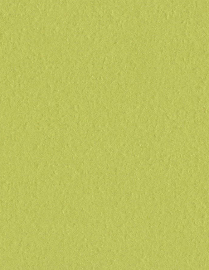 Bazzil Basics Cardstock ORANGEPEEL 8.5x11 GreenTea