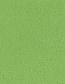 Bazzil Basics Cardstock ORANGEPEEL 8.5x11 Nathan