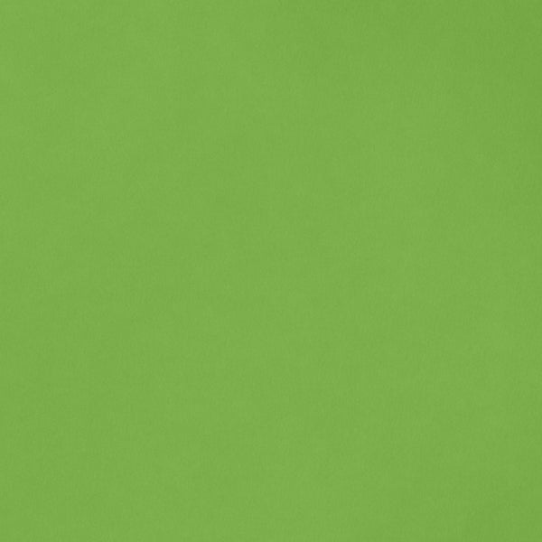 CARDSTOCK 8.5X11 AC SMOOTH GRASS