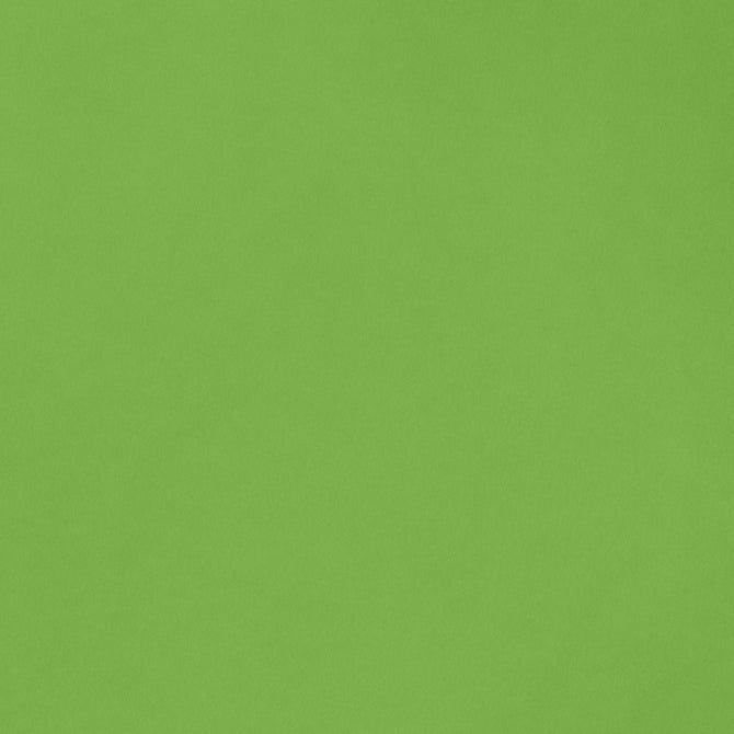 CARDSTOCK 8.5X11 AC SMOOTH GRASS