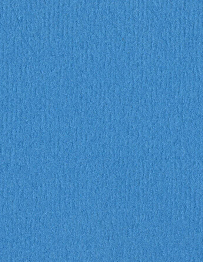 Bazzil Basics Cardstock ORANGEPEEL 8.5x11 Splash/OP