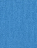 Bazzil Basics Cardstock ORANGEPEEL 8.5x11 Splash/OP