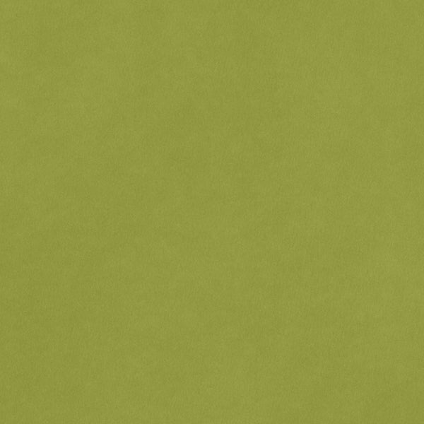 CARDSTOCK 8.5X11 AC SMOOTH LEAF