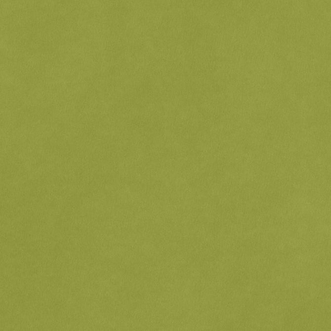 CARDSTOCK 8.5X11 AC SMOOTH LEAF