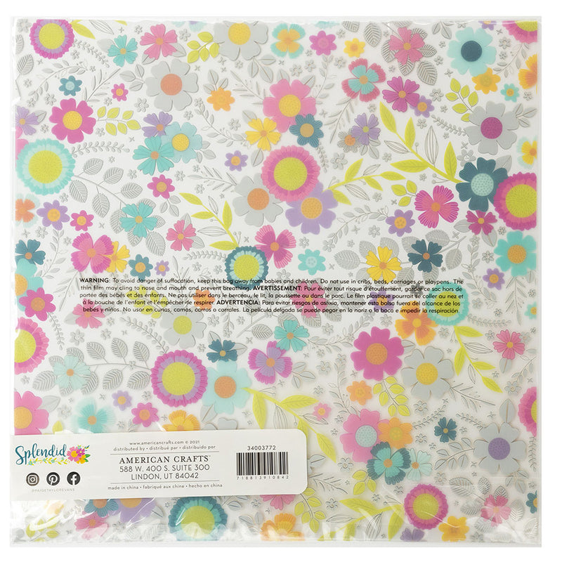 Paige Evans - Splendid - 12 x 12 Specialty Paper - Acetate - Gold Foil Accents